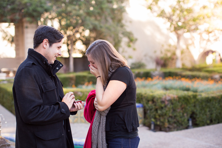 View More: http://racheljay.pass.us/maryandjonproposal