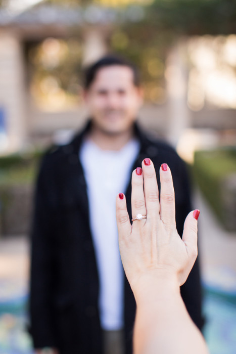 View More: http://racheljay.pass.us/maryandjonproposal