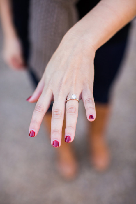 View More: http://racheljay.pass.us/maryandjonproposal