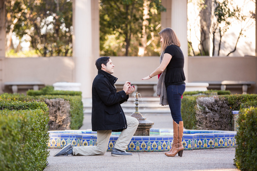 View More: http://racheljay.pass.us/maryandjonproposal
