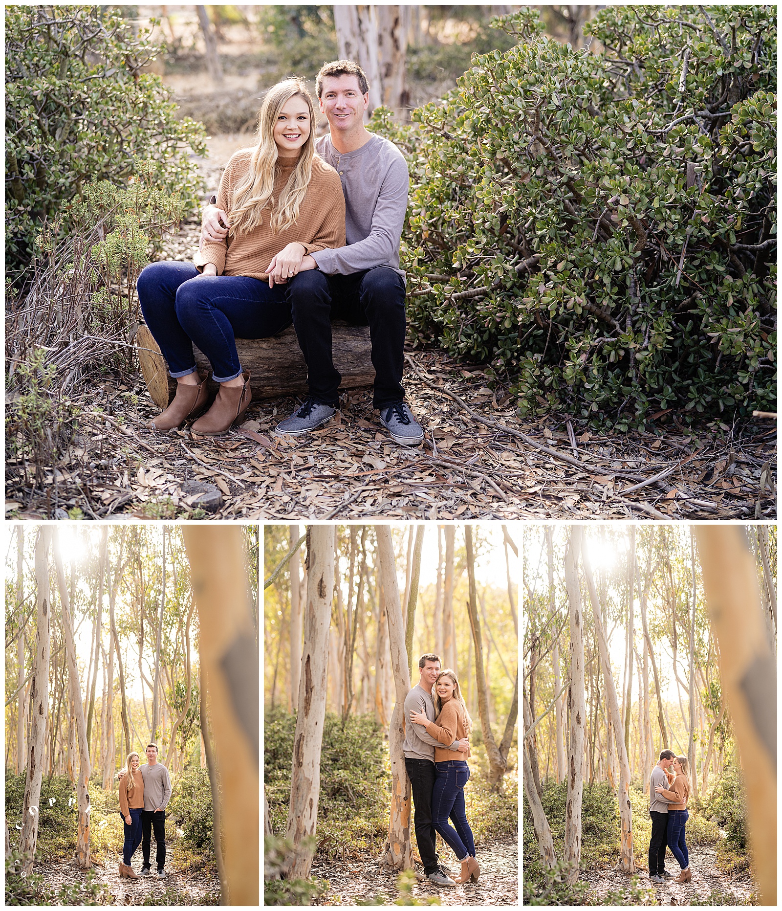 La Jolla Fall Engagement Session