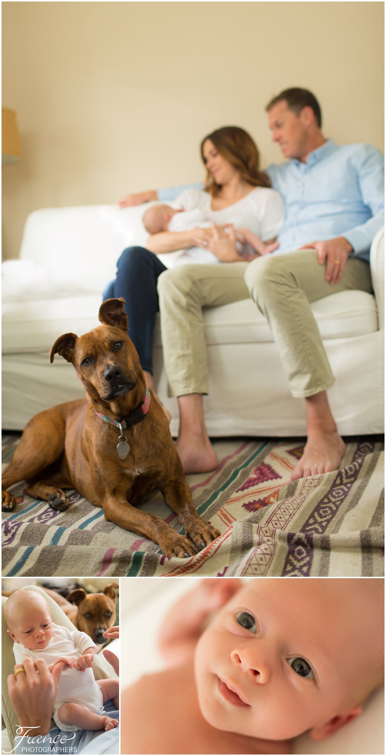San Diego Family Photos