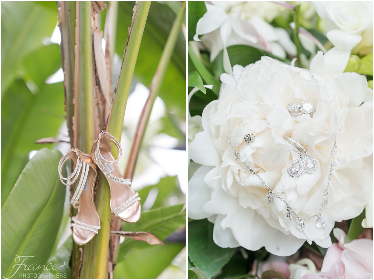 highlights, Scripps Seaside Forum Wedding Photos