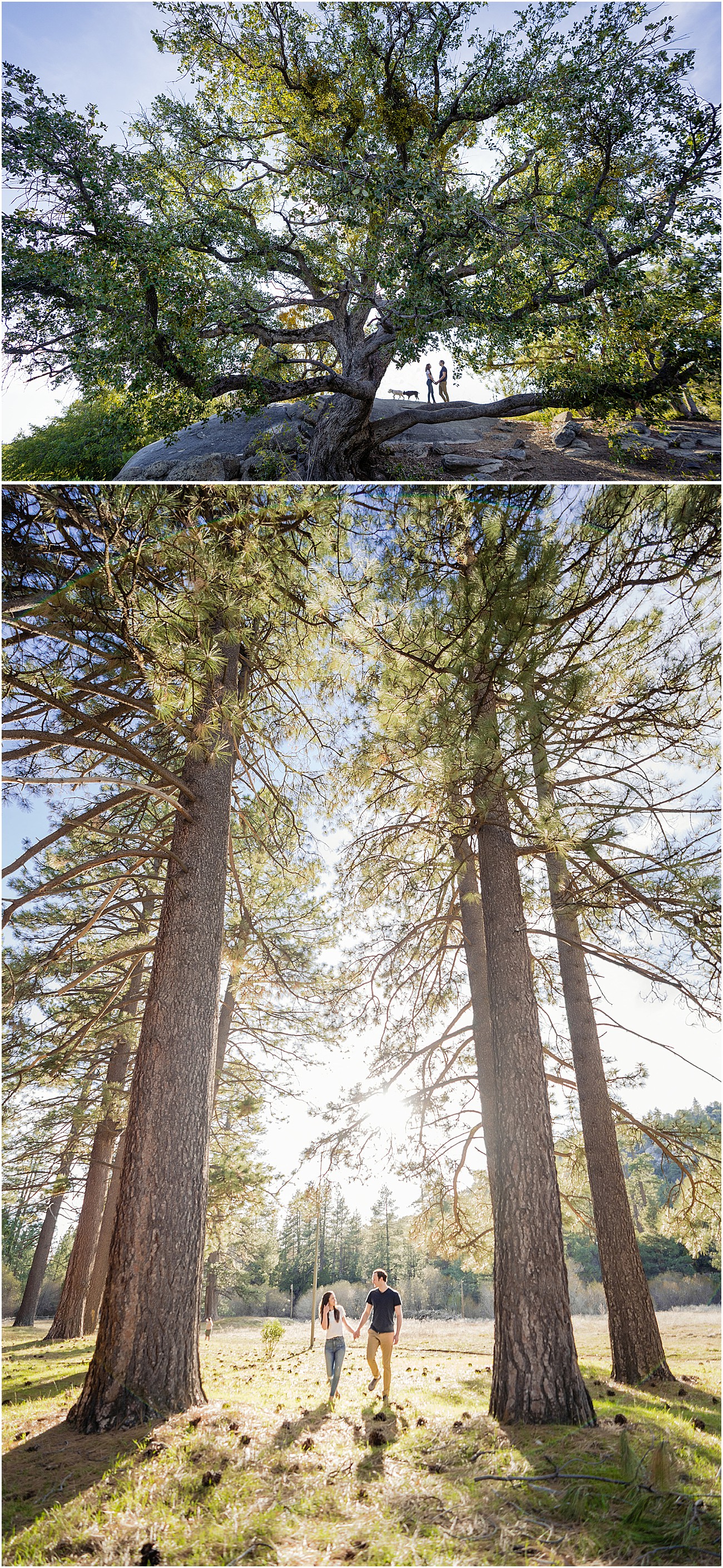 Spring Idyllwild Engagement Session